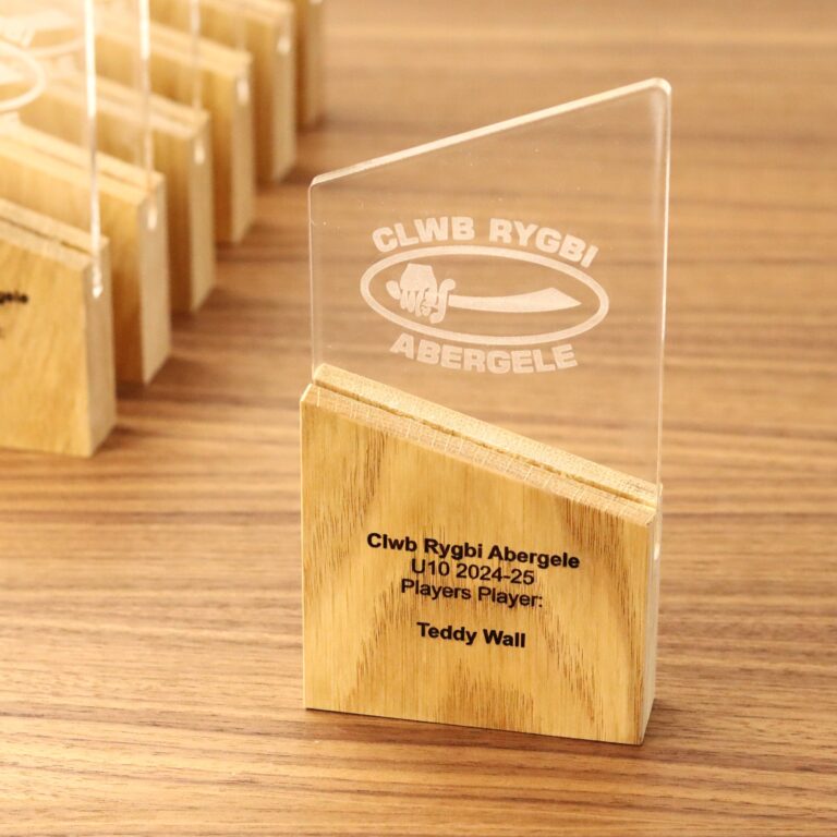 End of season sports awards. personalsied trophies