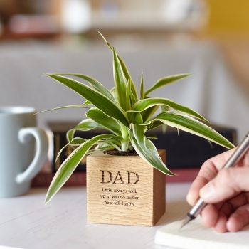 Oak personalised office desk plant pot for Dad
